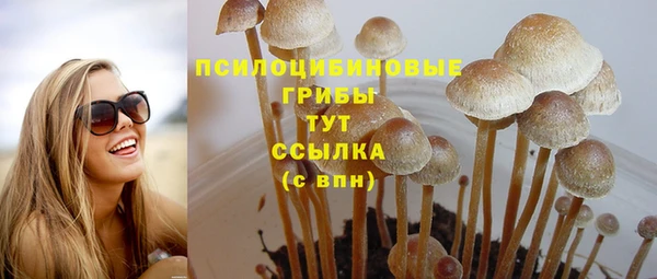 Альфа ПВП Навашино