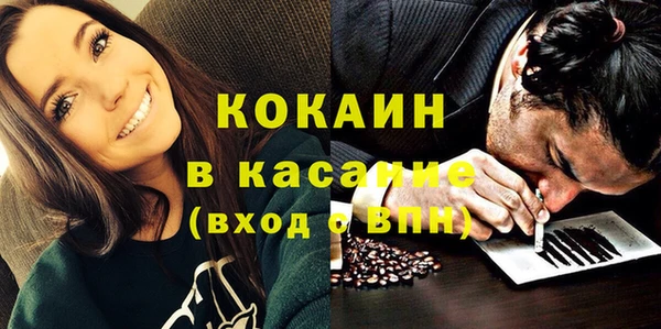 трава Наволоки