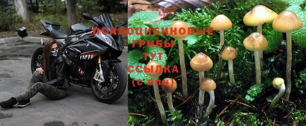 Альфа ПВП Навашино