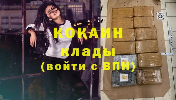 трава Наволоки