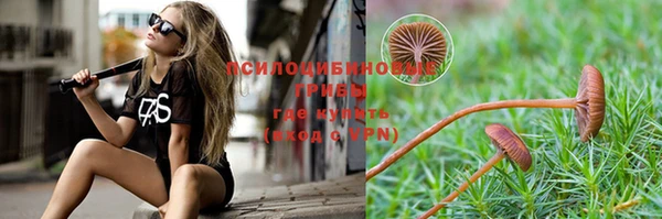 трава Наволоки