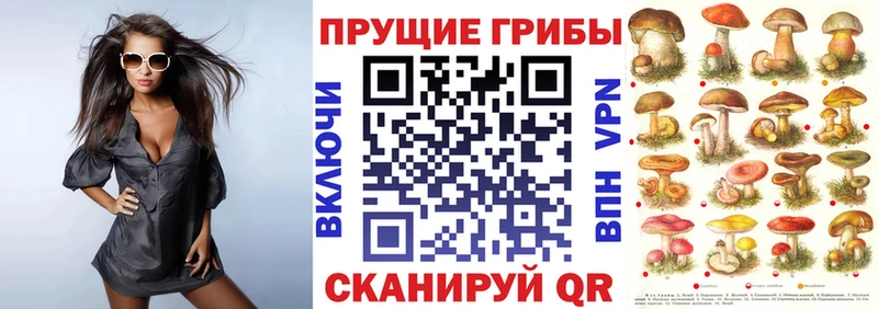 Галлюциногенные грибы GOLDEN TEACHER Стерлитамак